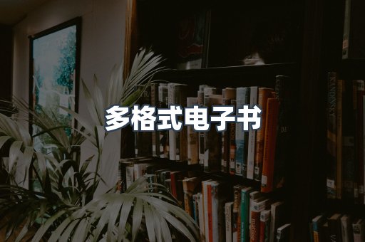 多格式电子书